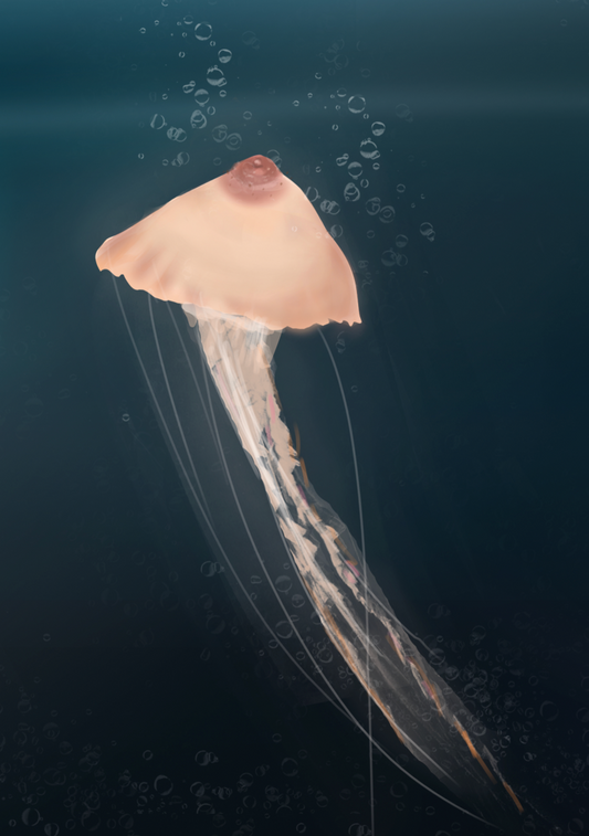Jellytit Poster