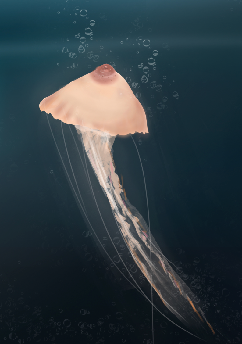 Jellytit Poster